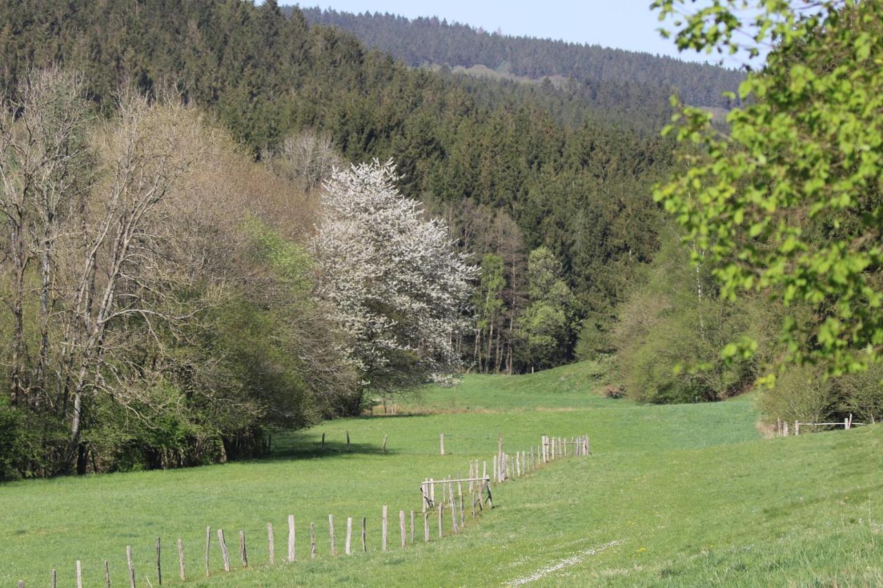 Le Clos Du Cerf - Le Sous-Bois Stoumont Exterior foto