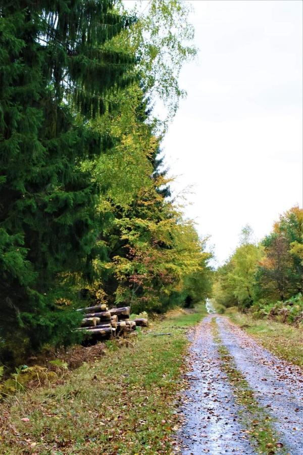 Le Clos Du Cerf - Le Sous-Bois Stoumont Exterior foto